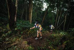 BIB: 
                            <button type="button" onclick="openModal(22425698)" class="btn btn-primary btn-sm float-right btn-popup" data-toggle="modal" data-target=".modal-high-quality">
                        <i class="fas fa-shopping-cart"></i> Add to Cart
                    </button>
                                            <button type="button" onclick="isThisMe(22425698, true)" class="btn btn-success btn-sm float-right btn-popup btn-isme hidden" data-toggle="tooltip" data-placement="bottom" title="นี่คือรูปของคุณใช่ไหม คลิกที่นี่เพื่อเอาเข้าอัลบั้ม">
                        <i class="fas fa-plus"></i> Add to album
                    </button>
                    <button type="button" onclick="isThisMe(22425698, false)" class="btn btn-warning btn-sm float-right btn-popup btn-isnotme hidden">
                        <i class="fas fa-ban"></i> Remove from album
                    </button>